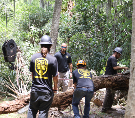 Hurricane Ian, SB Tree Service is Ready to Assist Coastline Residents