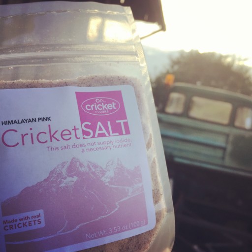 Oregon Company Launches Gourmet Salt on Kickstarter Made With Crickets