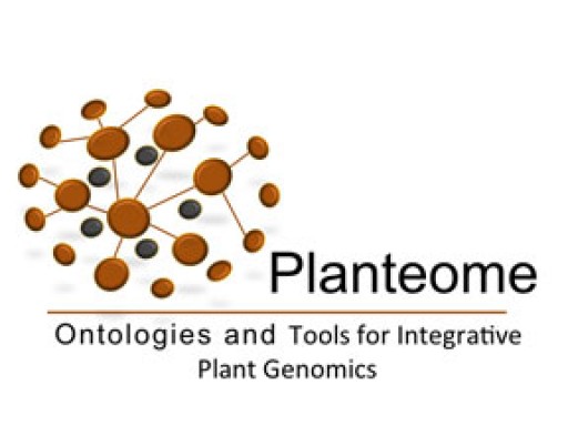 NSF Funds Development of Common Reference Ontologies and Applications for Plant Biology