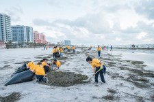 Volunteer Ministers clean up Clearwater Beach