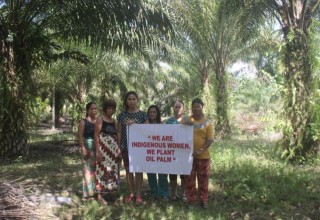Indigenous women palm oil farmers from Sarawak, Malaysia