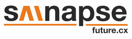 Sainapse Logo
