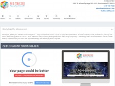 The SEO Review by Red Zone SEO