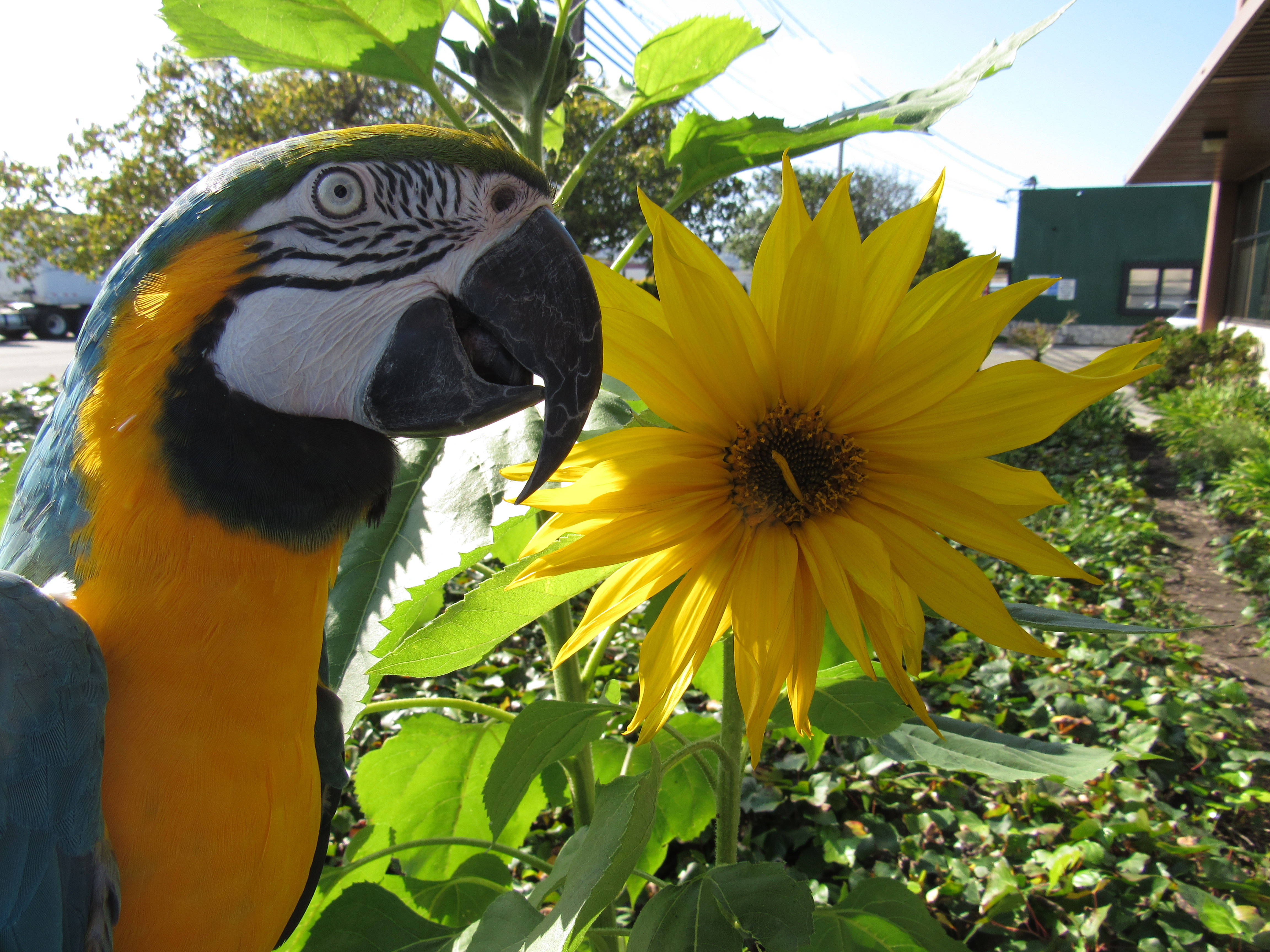 The San Francisco Bird Hotel℠ to Be Featured in Major Network Launch Newswire