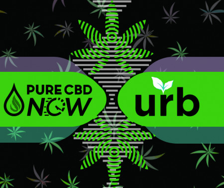 Cannabis Collaboration for Pure CBD NOW and URB