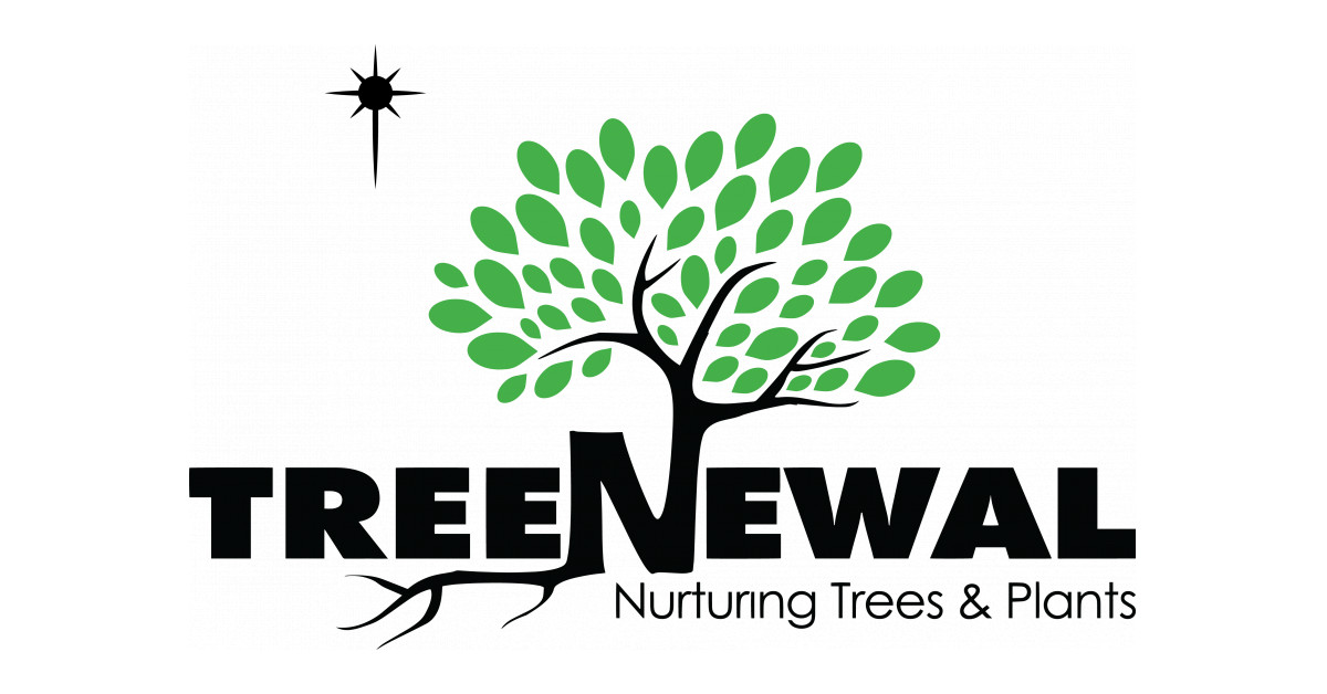 TreeNewal Unveils New Logo and Website, Enabling New Growth | Newswire