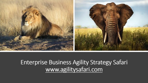 First Enterprise Business Agility Strategist Workshop Offered in Africa