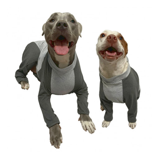 New and Advanced Large Dog Recovery Suit Launched by Big Dog's Closet
