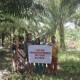 Indigenous Dayak Farmers Speak Out on Discrimination Against Palm Oil
