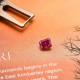 LEIBISH Announces an Argyle Diamond Called the Red Dragon