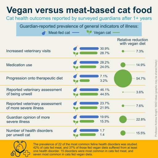 Vegan Cats Are Healthier, Finds Largest Study to Date