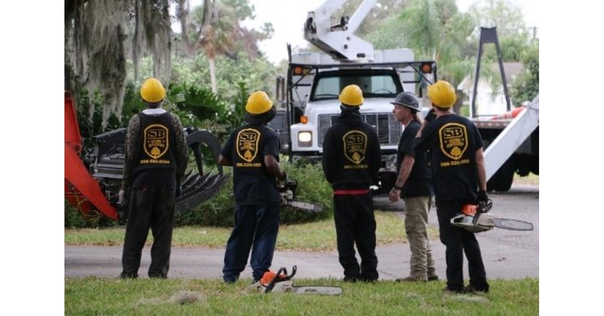 Tree Removal Experts Bring Hurricane Relief Work to Texas and Louisiana | Newswire