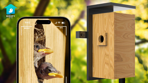 Birdfy Nest: Your Window to Capture the Beauty of Bird Hatching and Nesting