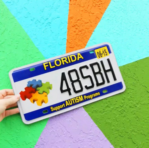 Florida Autism License Plate Sales Funds Available for Non-Profit Grants